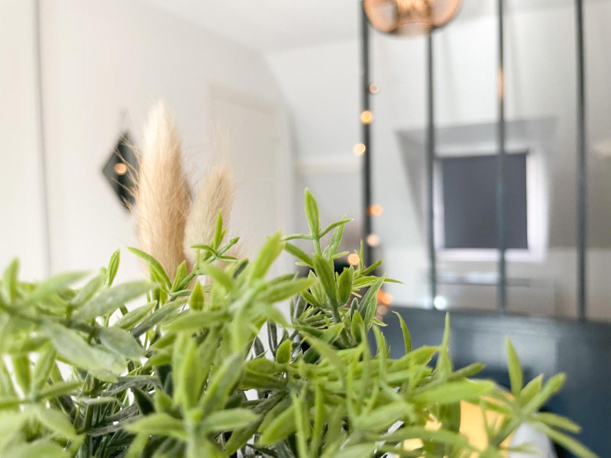 Le 12 Bis - Cosy Apartment Cherbourg-en-Cotentin Exterior foto